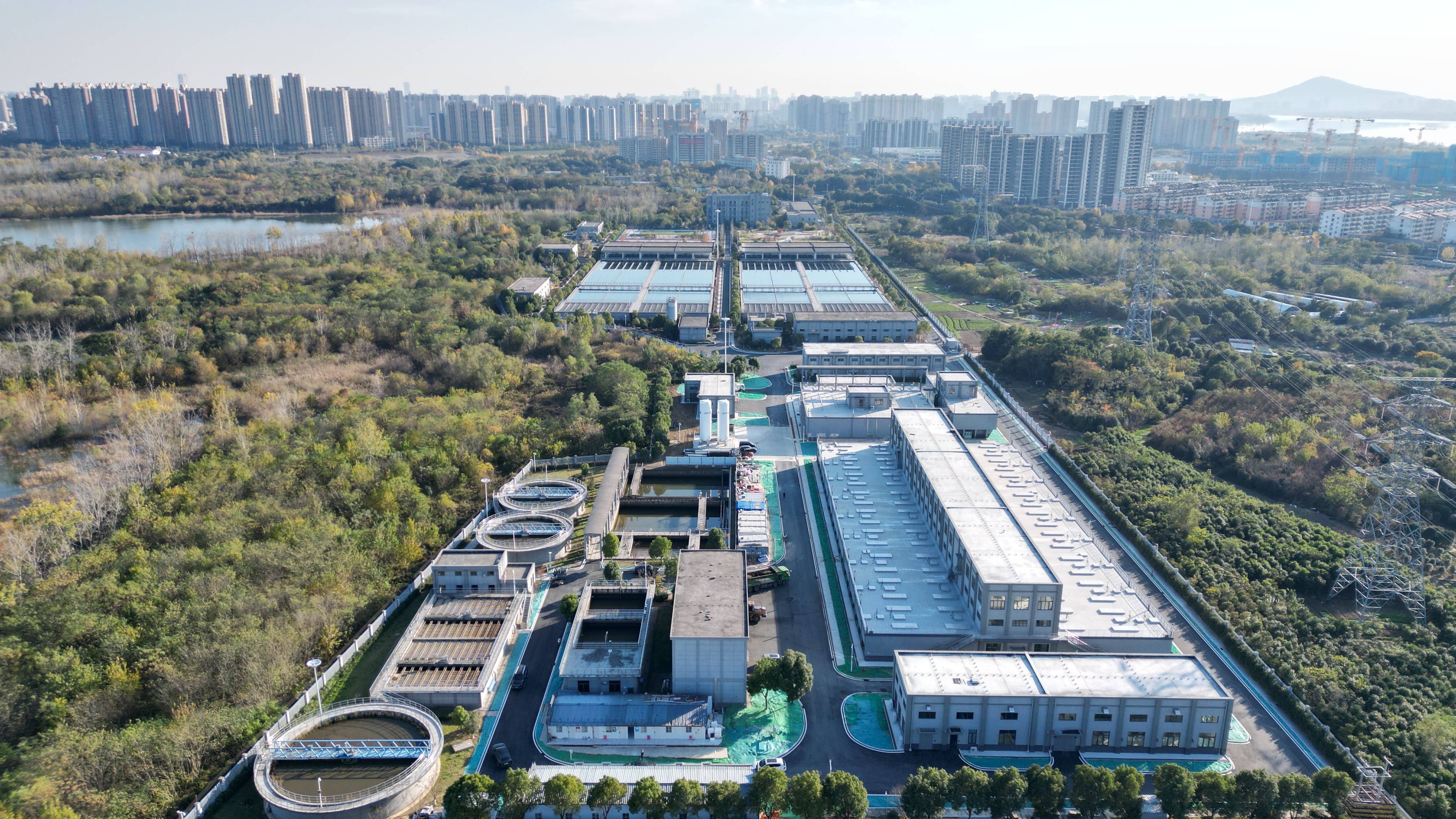 辽阳市合肥专业企业价值增长(合肥市重点企业产业目录)