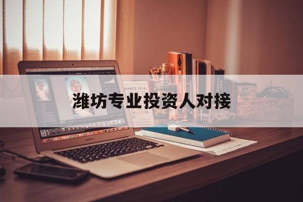 辽阳市潍坊专业投资人对接(潍坊专业投资人对接中心)
