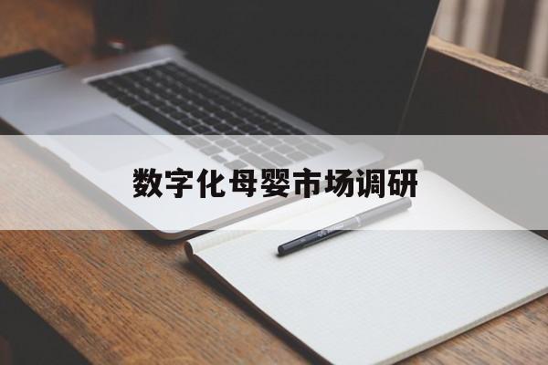 辽阳市数字化母婴市场调研(数字化母婴市场调研报告)